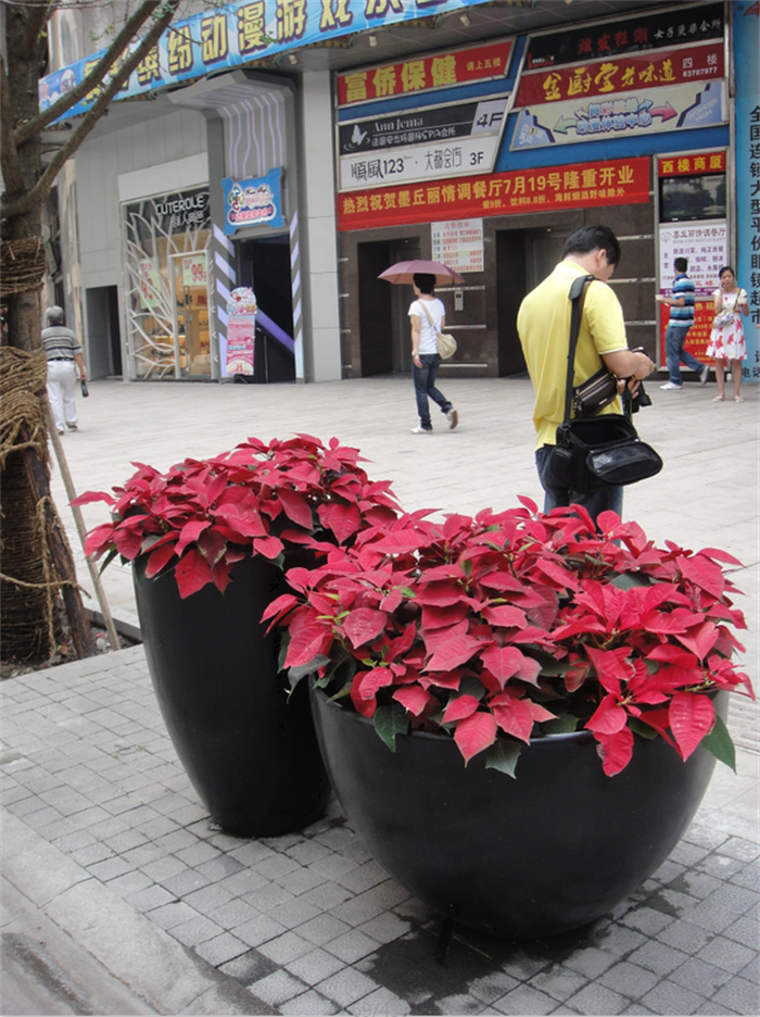 13-C075.png 13-C075.png