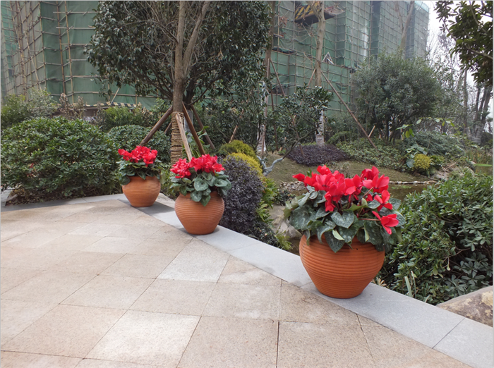 13-C091.png 13-C091.png