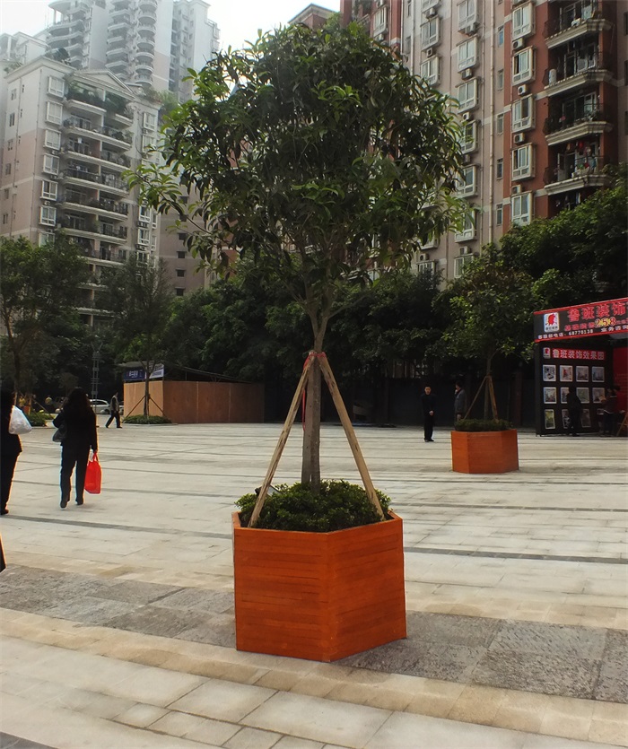 13-C156.jpg 13-C156.jpg