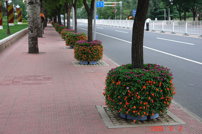 13-C191.jpg 13-C191.jpg