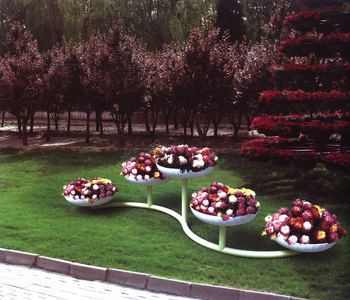 13-C203.jpg 13-C203.jpg